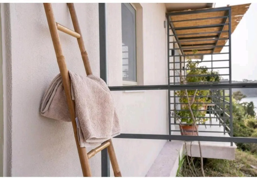 公寓 Thea Beachfront Suites In Lourdas Beach 劳德哈塔 希腊